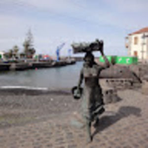 Meet your Posher, Tracey